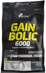 Gain Bolic 6000